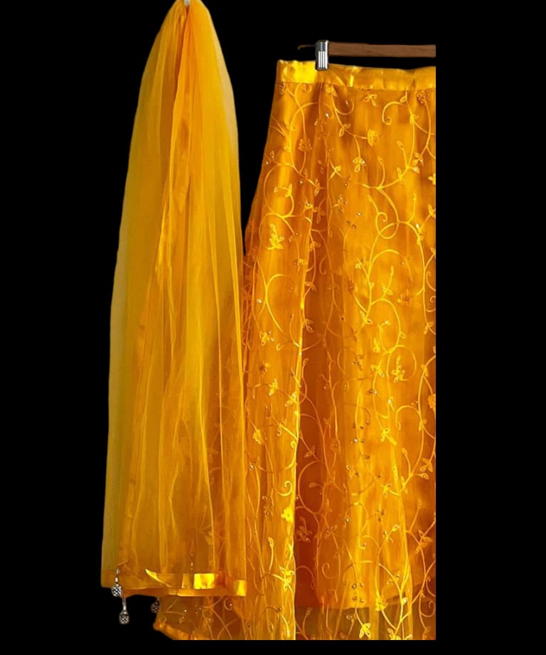 Traditional Navratri / Garba Chaniya choli